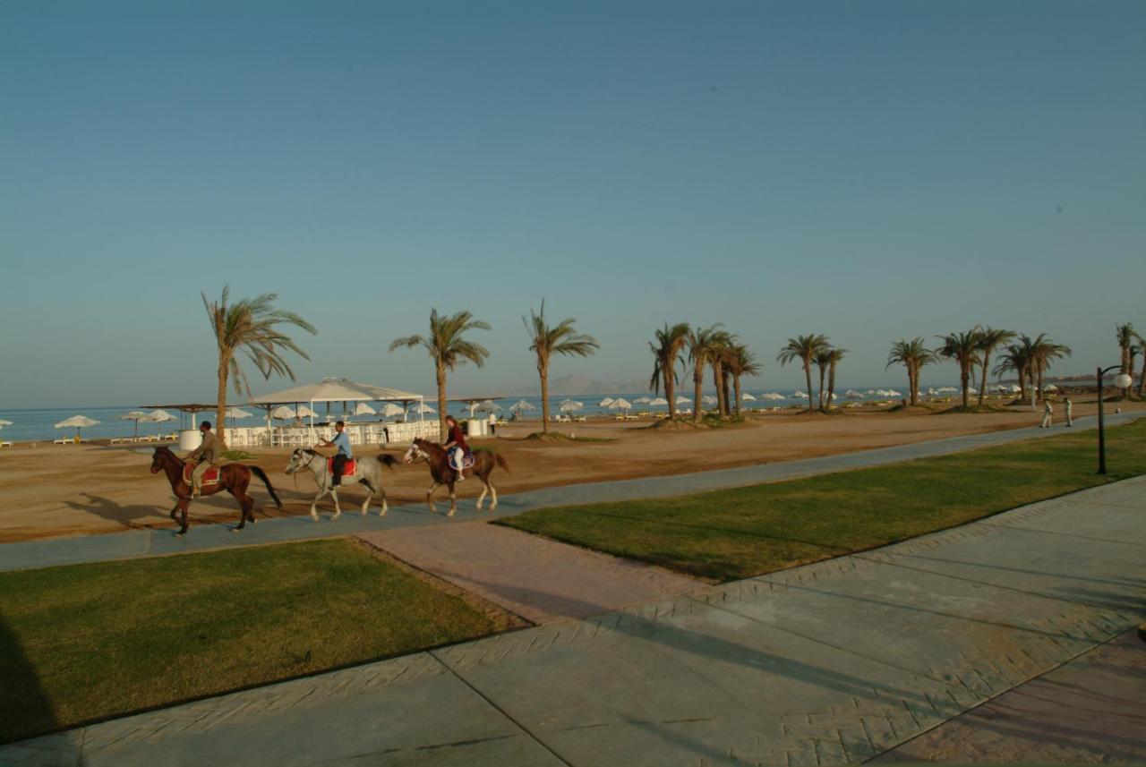 Amarina Sun & Aqua Park 5* Szarm el-Szejk